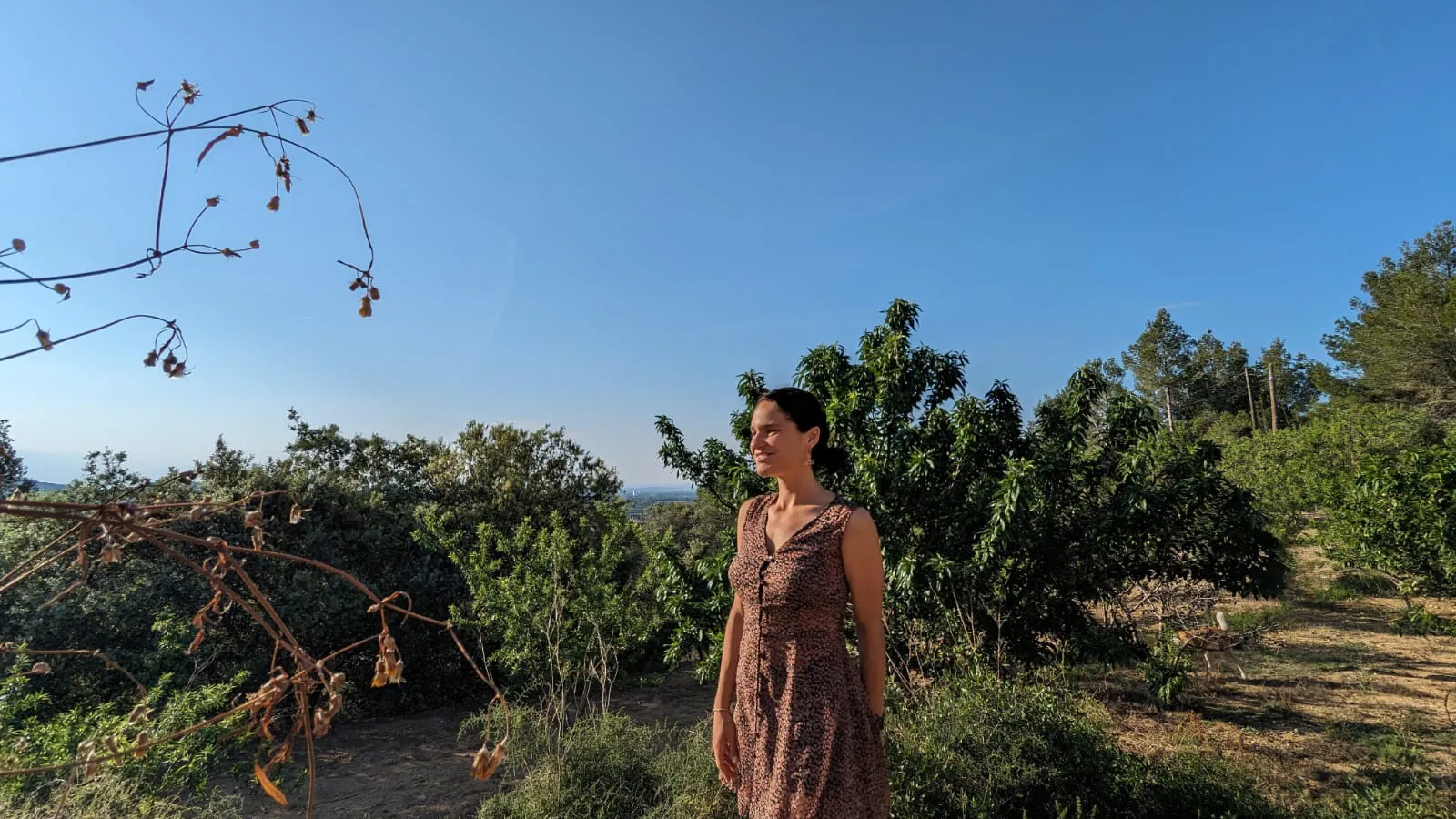 Helena Sirisi Calero, arquitecta de SOMVIU Arquitectura, enmig del camp amb vestit marró